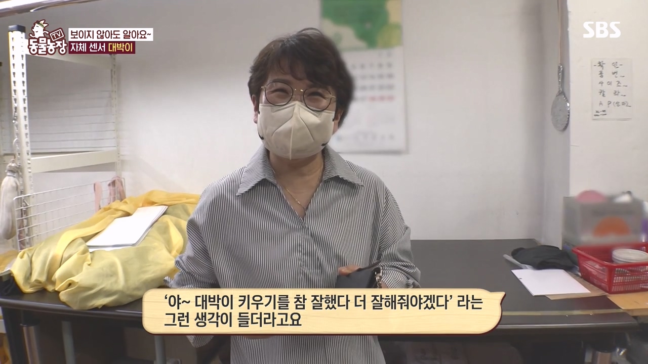 TV 동물농장.E1141.231016p-NEXT.mp4_20231015_174345.044.jpg