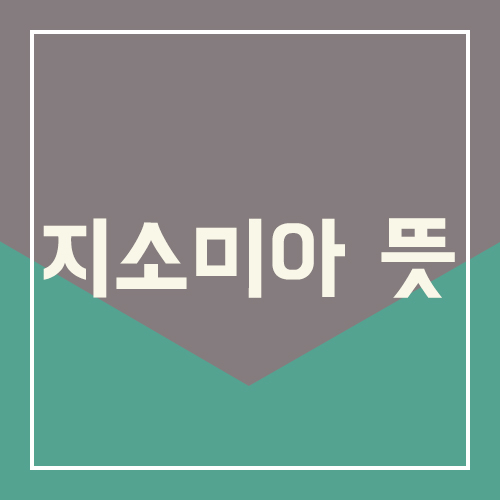  지소미아 뜻
