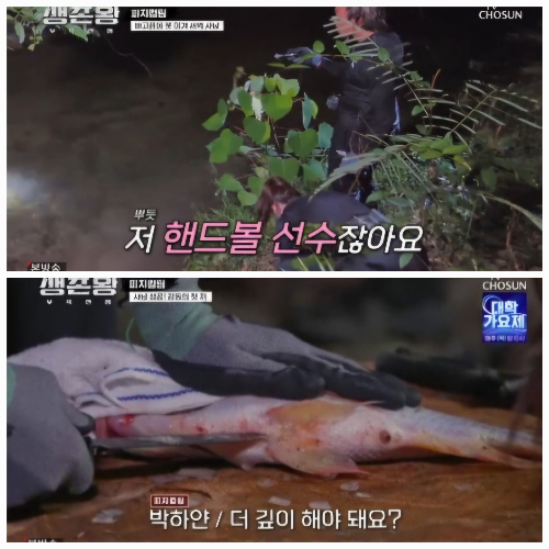생존왕