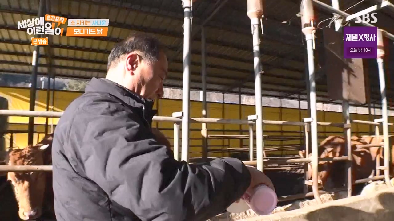 순간포착 세상에 이런일이.E1262.240128p-NEXT.mp4_20240128_184857.655.jpg
