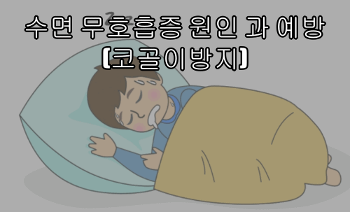  수면무호흡증 원인 과 예방(코골이방지)