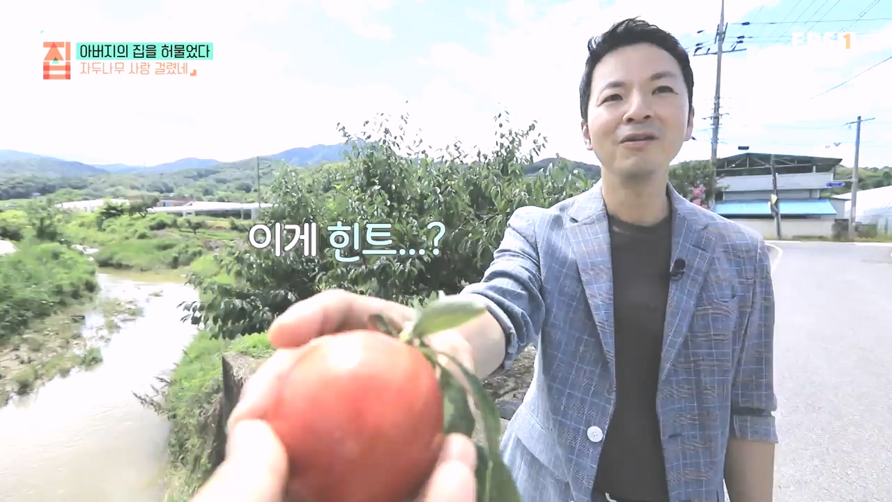 TV - 전 국민의 평생학교 EBS아버지의 집을 허물었다.mp4_20231019_205932.394.jpg