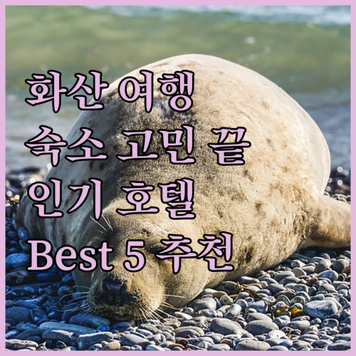화산 여행 숙소 고민 끝 화산 근처 