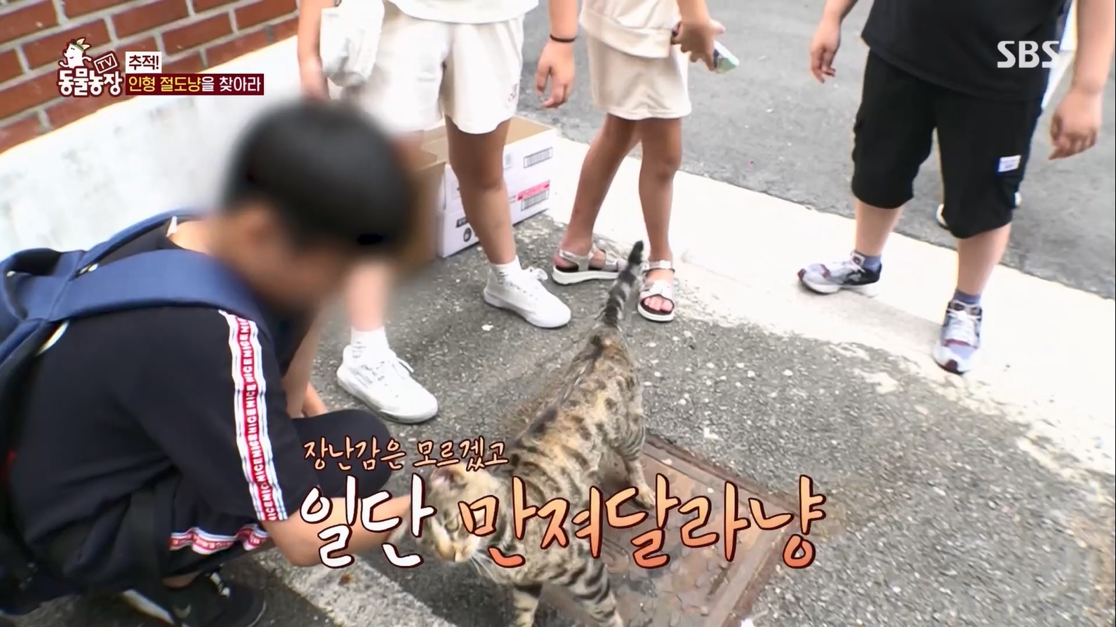 TV 동물농장.E1127.230702p.H264-F1RST.mp4_20230704_212704.816.jpg