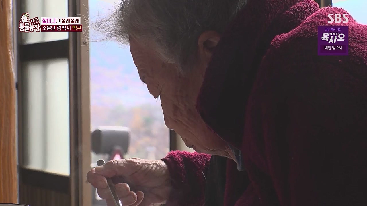 TV 동물농장.E1104.230123p.WANNA.mp4_20230123_195408.755.jpg