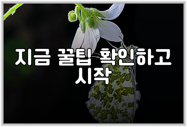 지금 꿀팁 확인하고 시작