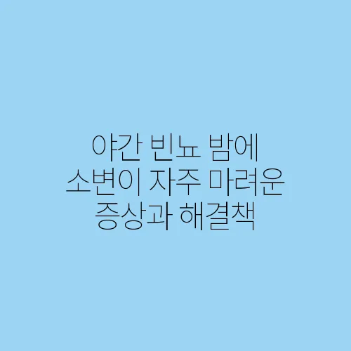 야간 빈뇨 밤에 소변이 자주 마려운 증상과 해결책