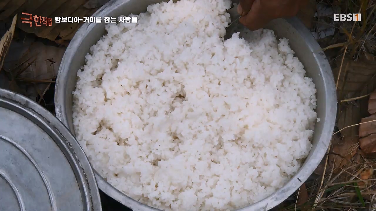 TV - 전 국민의 평생학교 EBS캄보디아 - 독충을 잡는 사람들.mp4_20230501_173402.420.jpg