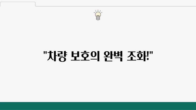 PPF와 유리막코팅 조합