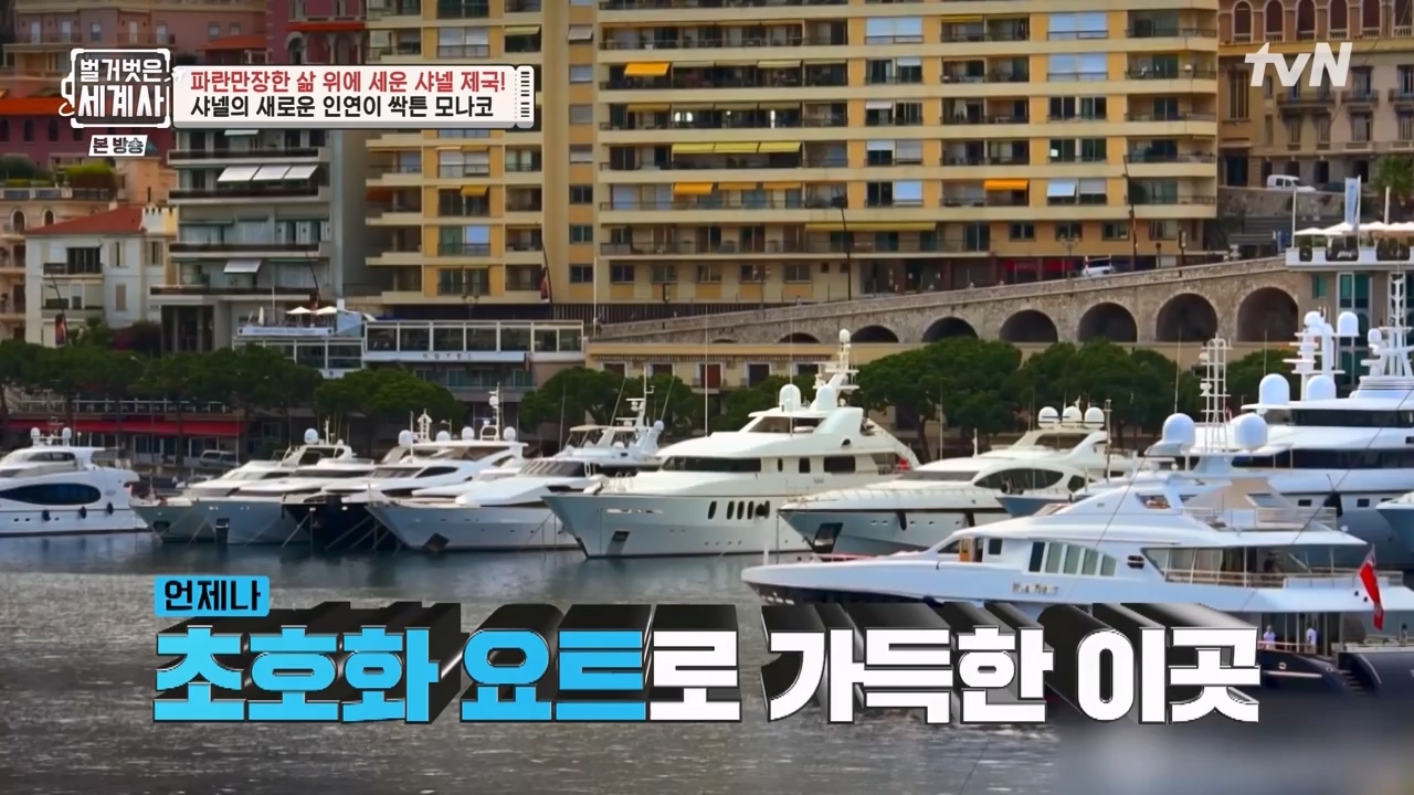 벌거벗은 세계사.E110.230802p-NEXT.mp4_20240217_191016.764.jpg