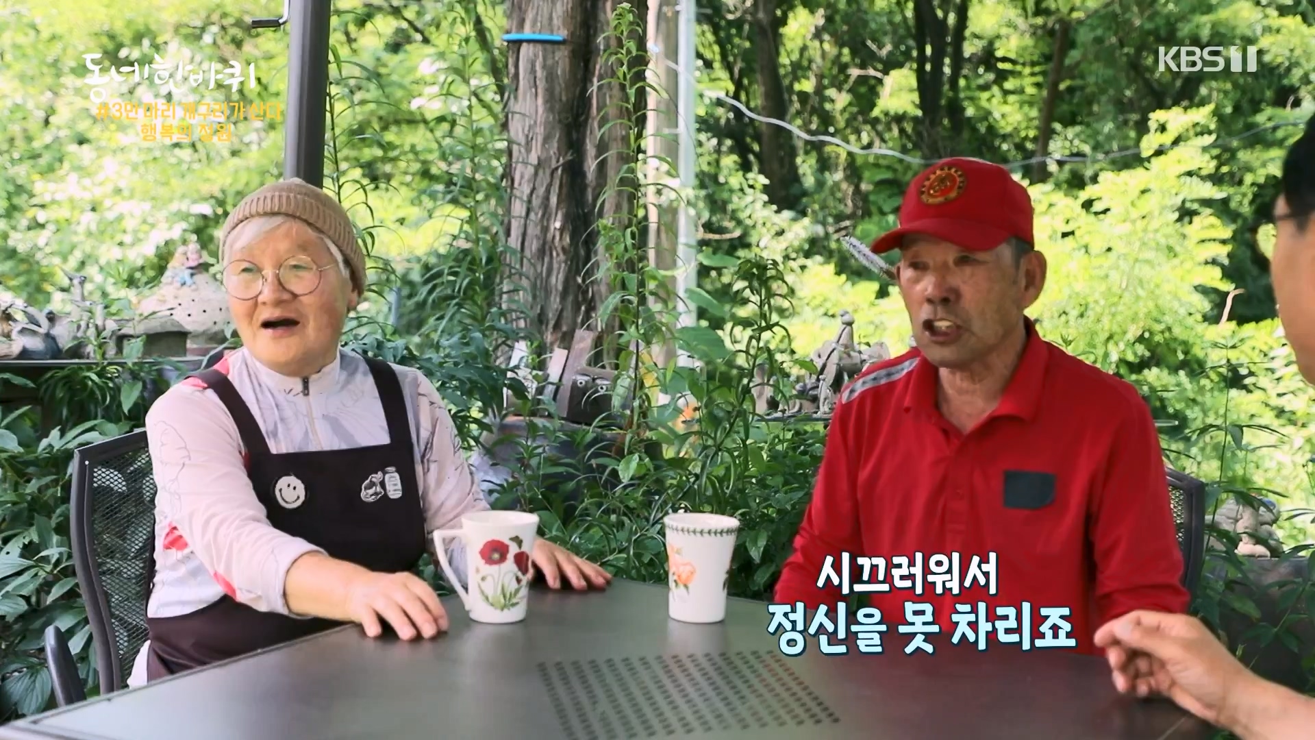 동네 한 바퀴.E282.240713p-NEXT.mp4_20240714_162916.592.jpg