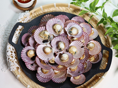 가리비 효능 10가지 27