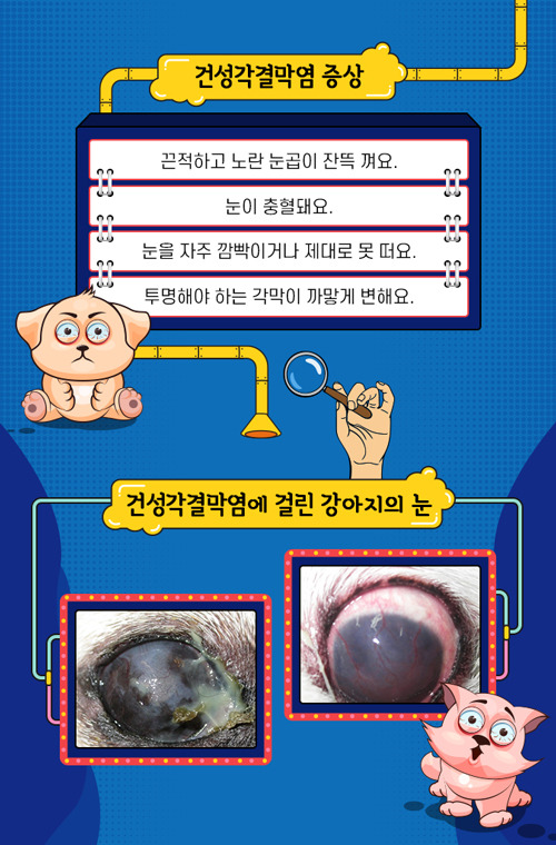 건성 이미지