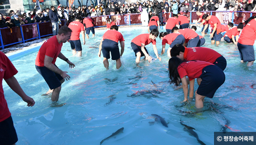 대한민국 대표 겨울 축제 총정리