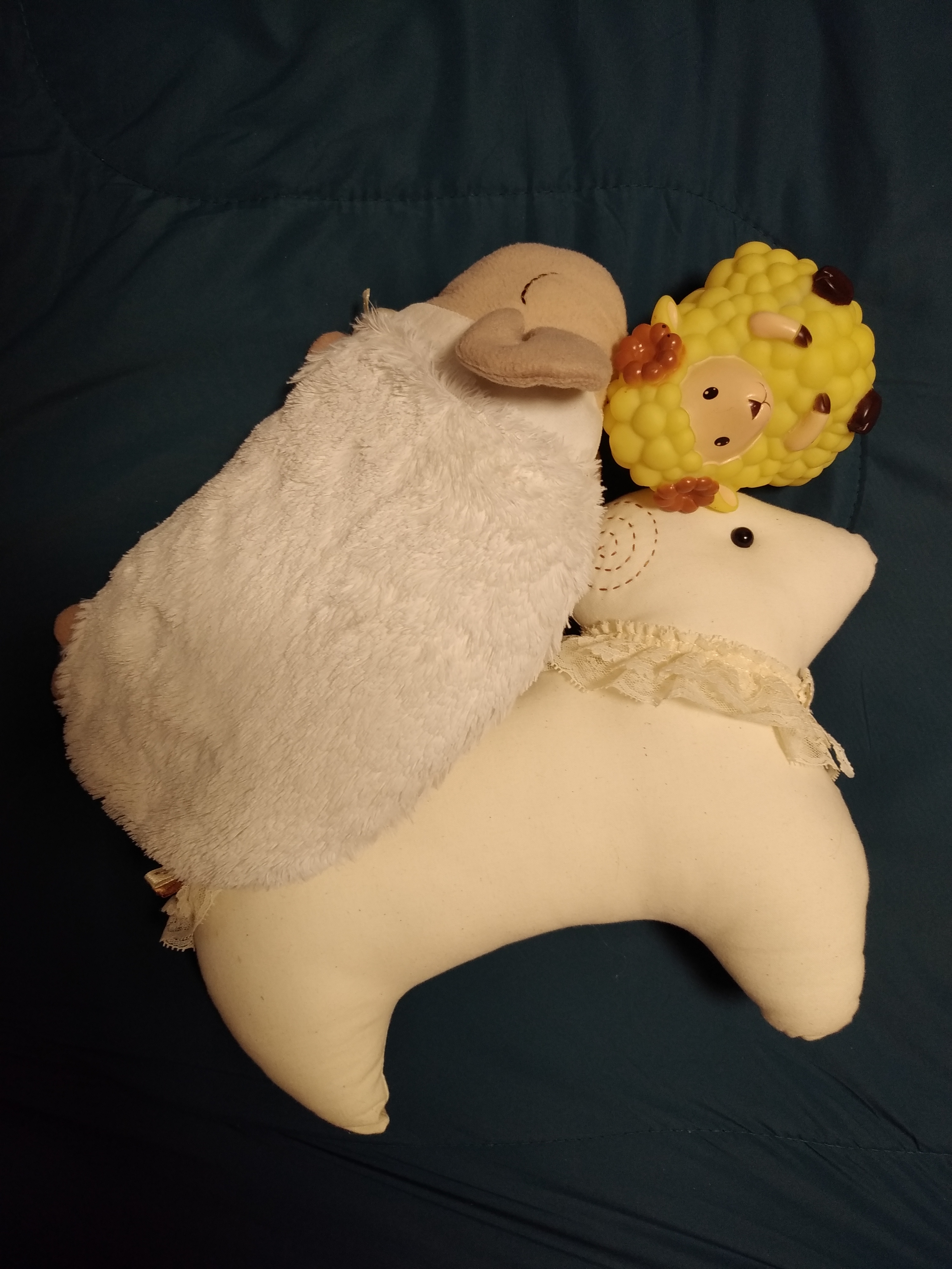  성인인 저는 애착인형이 있습니다