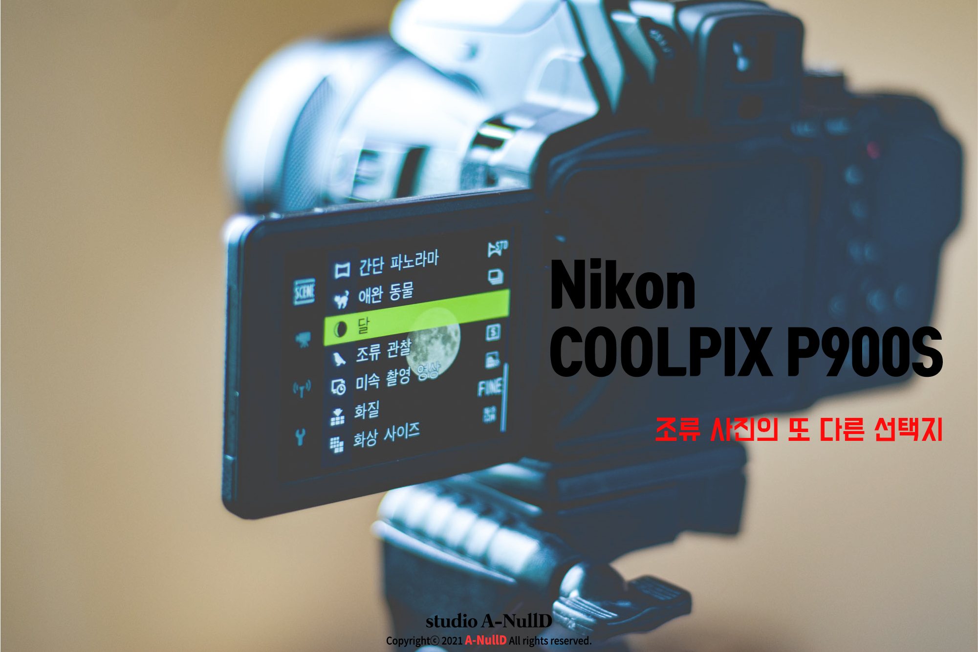  하이엔드 카메라로 조류 사진을... 니콘 쿨픽스 P900S