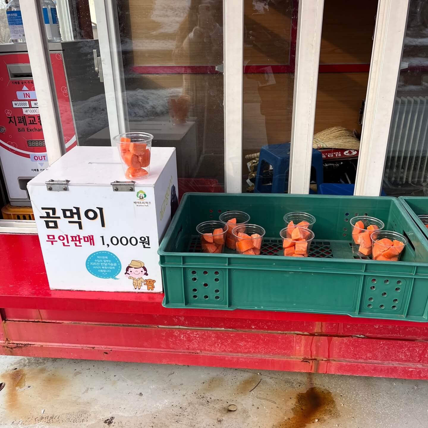 곰먹이