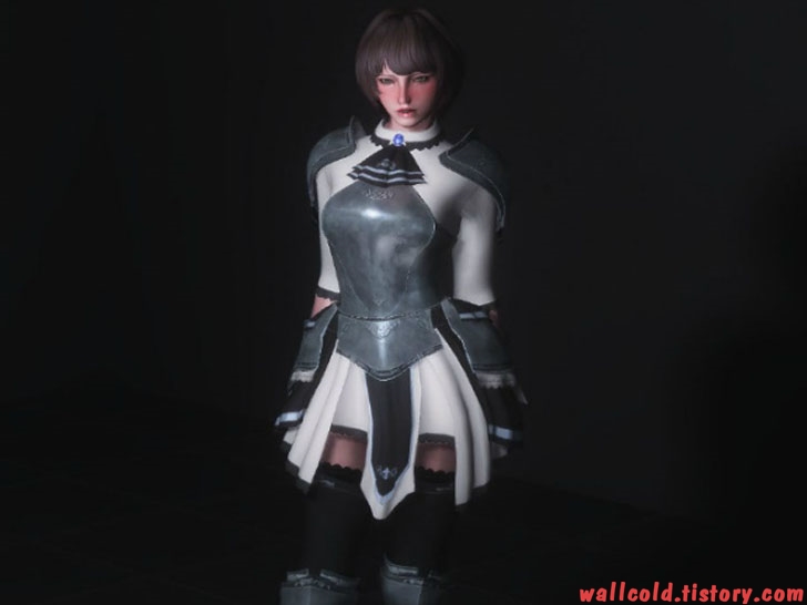 스카이림 의상 - 갑옷 의상 chevaleresse 2 armor skyrim mod 002