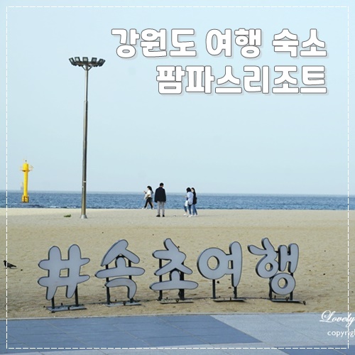 속초 팜파스리조트 강원도 숙소 추천 23