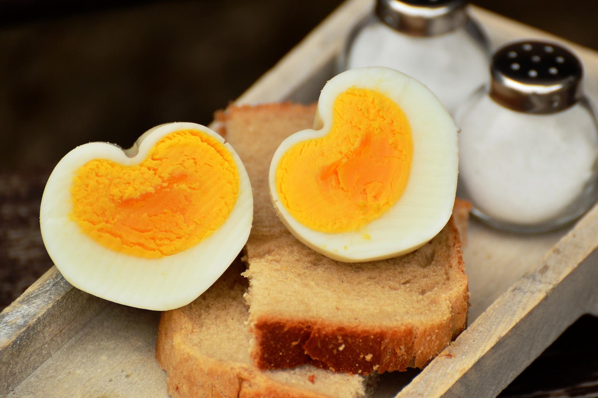 영양분 많은 계란(달걀)의 효능 - 허니스토리