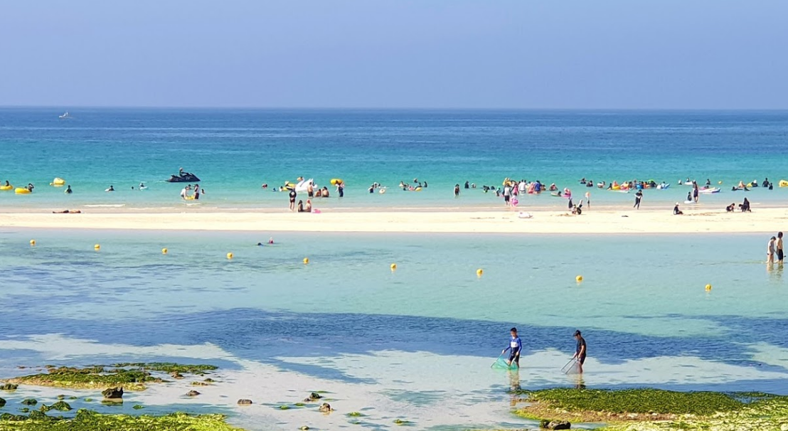 제주도 해수욕장