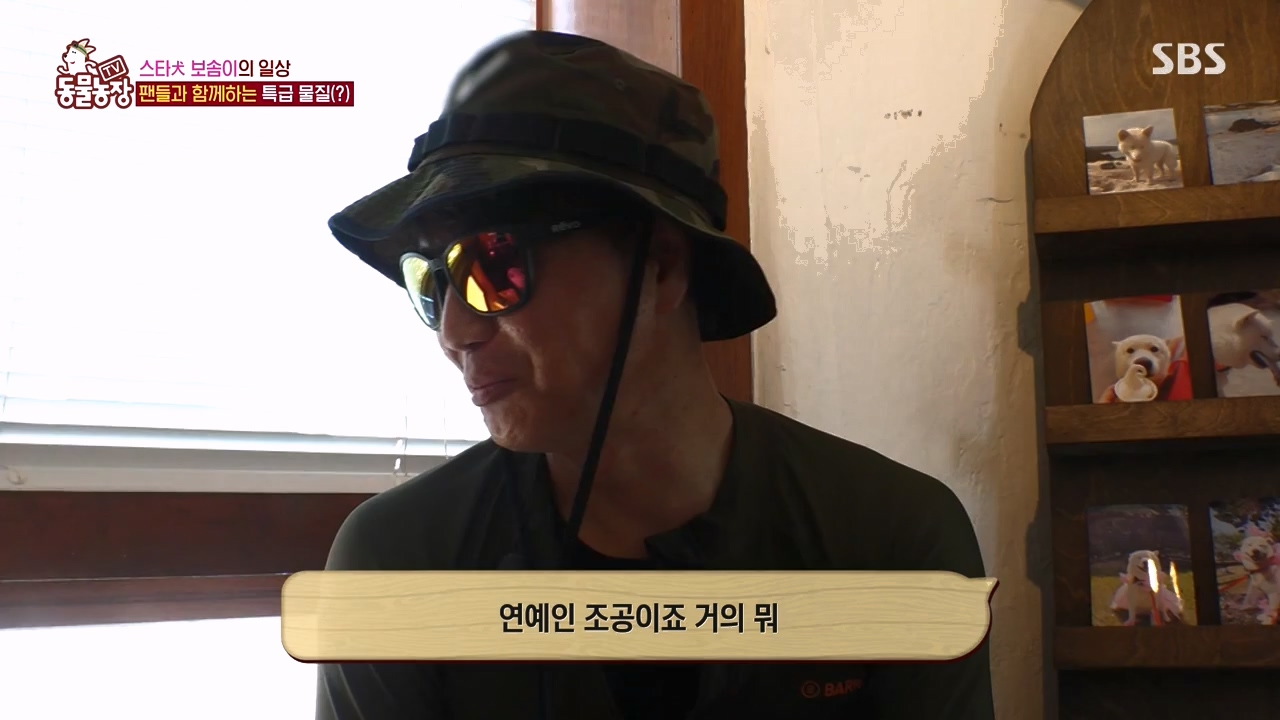 TV 동물농장.E1134.230821p-NEXT.mp4_20230820_193338.099.jpg