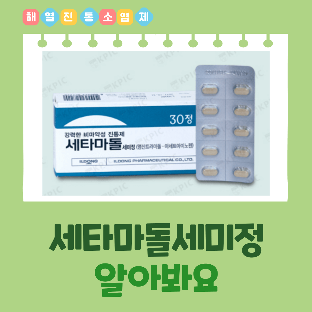 세타마돌세미정