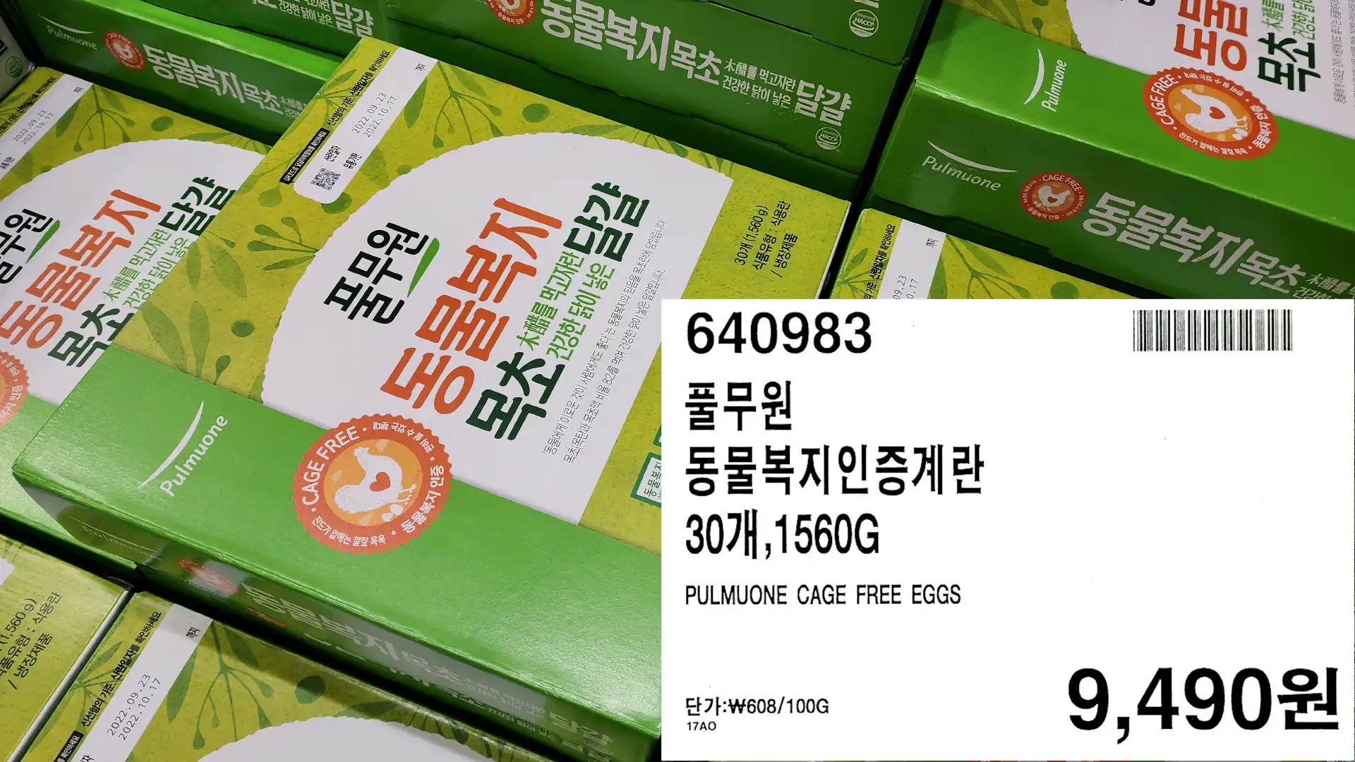 풀무원
동물복지인증계란
30개&#44;1560G
PULMUONE CAGE FREE EGGS
단가:₩608/100G
9&#44;490원