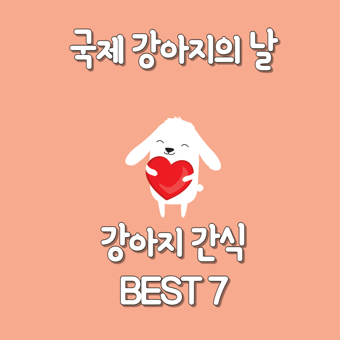 국제 강아지의 날(International Dog Day) 간식 BEST 7 추천!