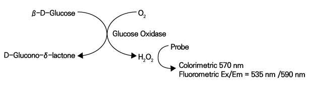 Glucose (BM-GLO-100)의 모식도