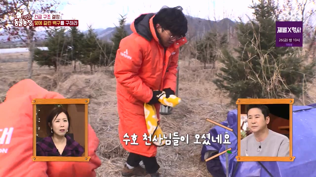 TV 동물농장.E1155.240122p-NEXT.mp4_20240121_145929.114.jpg