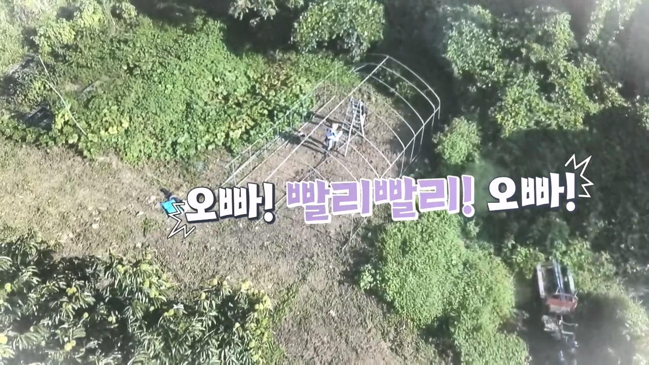 이웃집 찰스.E408.231025p.H264-F1RST.mp4_20231025_195511.874.jpg