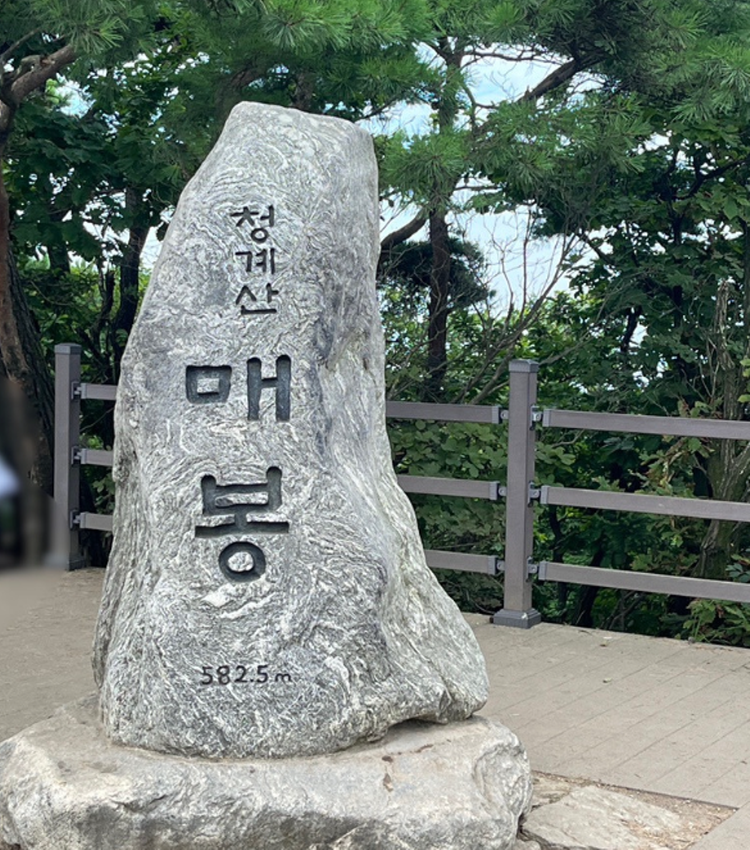 코스 이미지