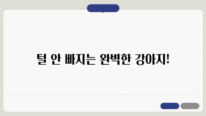 털 안 빠지는 강아지: 말티즈와 말티푸의 비교
