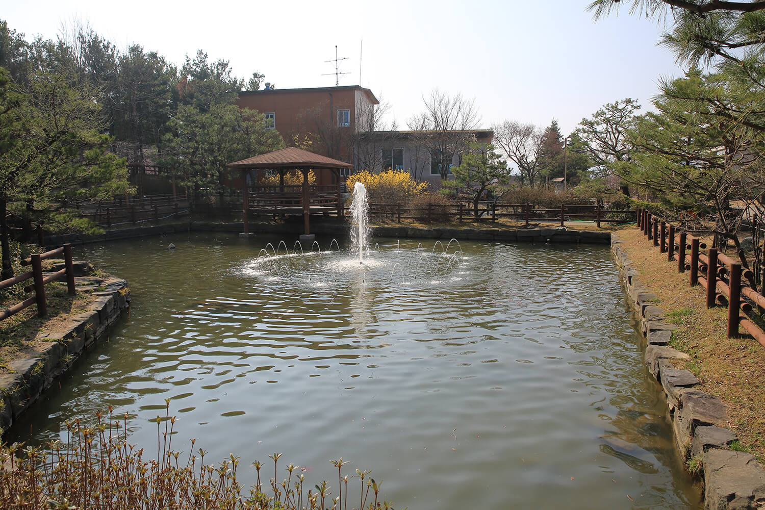 성남 은행식물원 연못