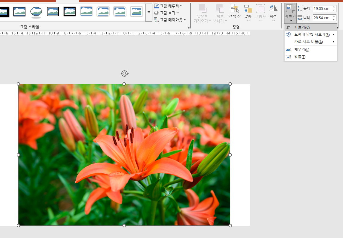 파워포인트 사진 자르기, PPT 원하는 모양으로 쉽게 자르는 방법