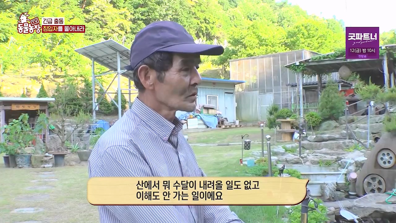 TV 동물농장.E1178.240630.ts_20240630_164648.710.jpg