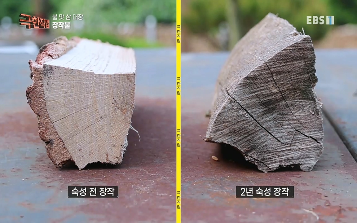 TV - 교육의 중심 EBS불 맛 삼 대장!.mp4_20220922_204452.342.jpg