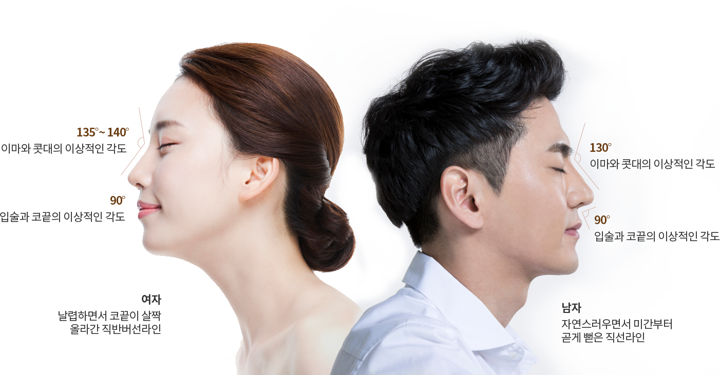  이상적인 코의 모양