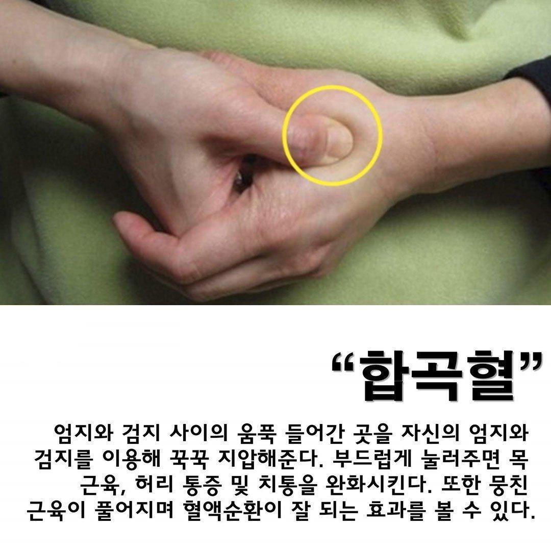 머리 지압 방법