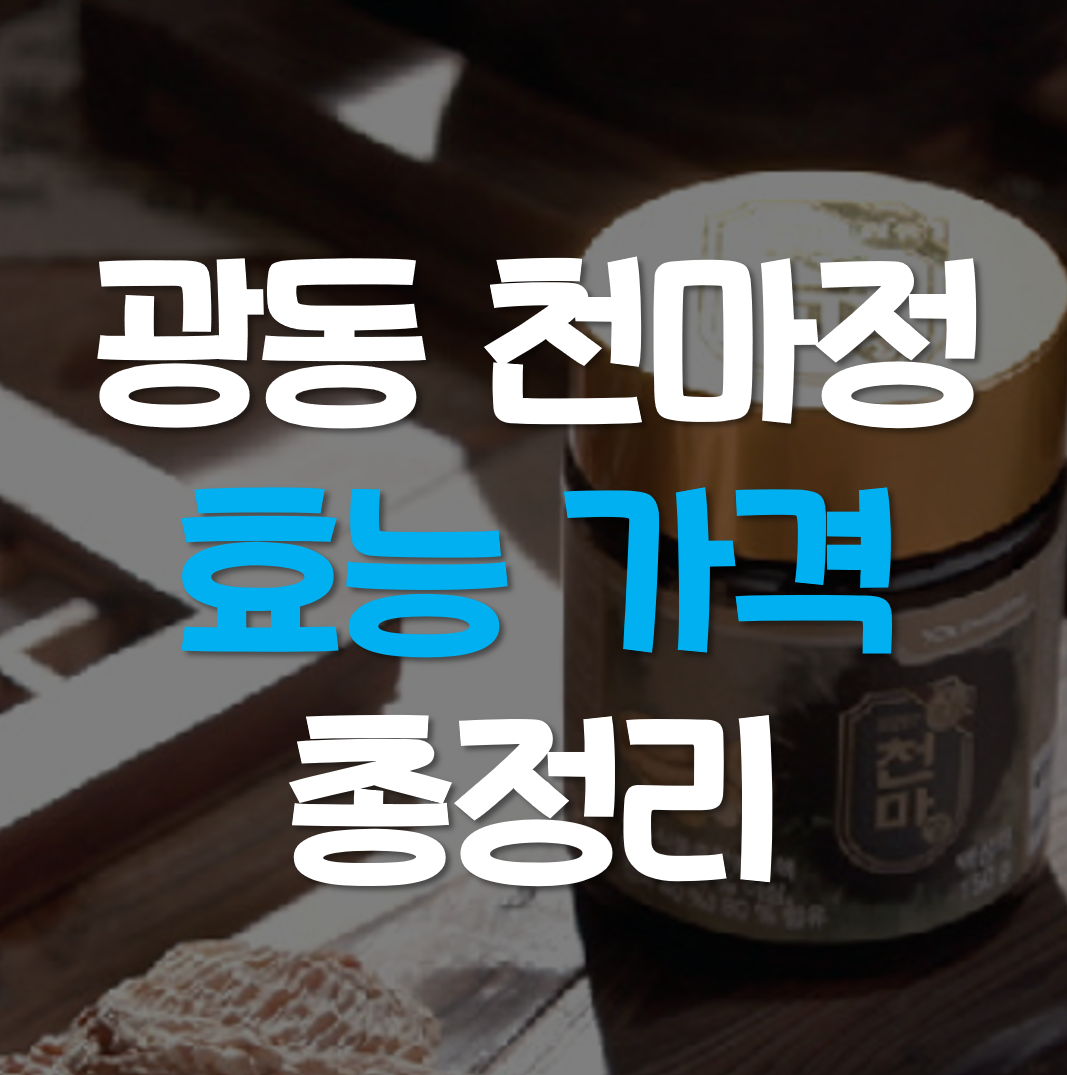  광동 천마정 가격 효능 정리