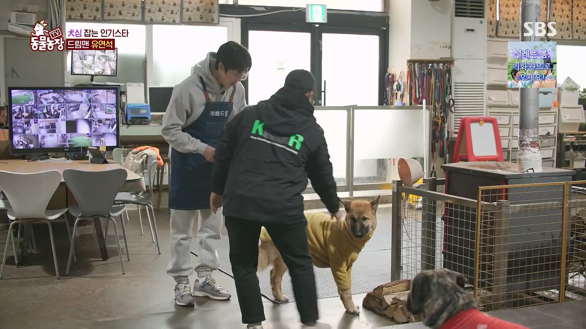 TV 동물농장.E1111.230312p.H264-F1RST.mp4_20230312_175955.615.jpg