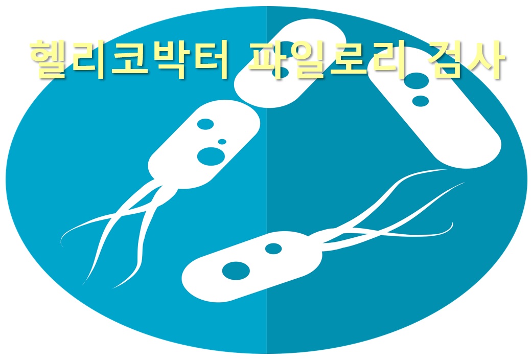  위궤양, 십이지장궤양, 위암을 일으키는 헬리코박터 파일로리균 검사