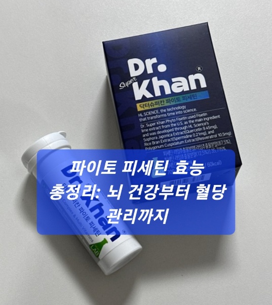 파이토 피세틴