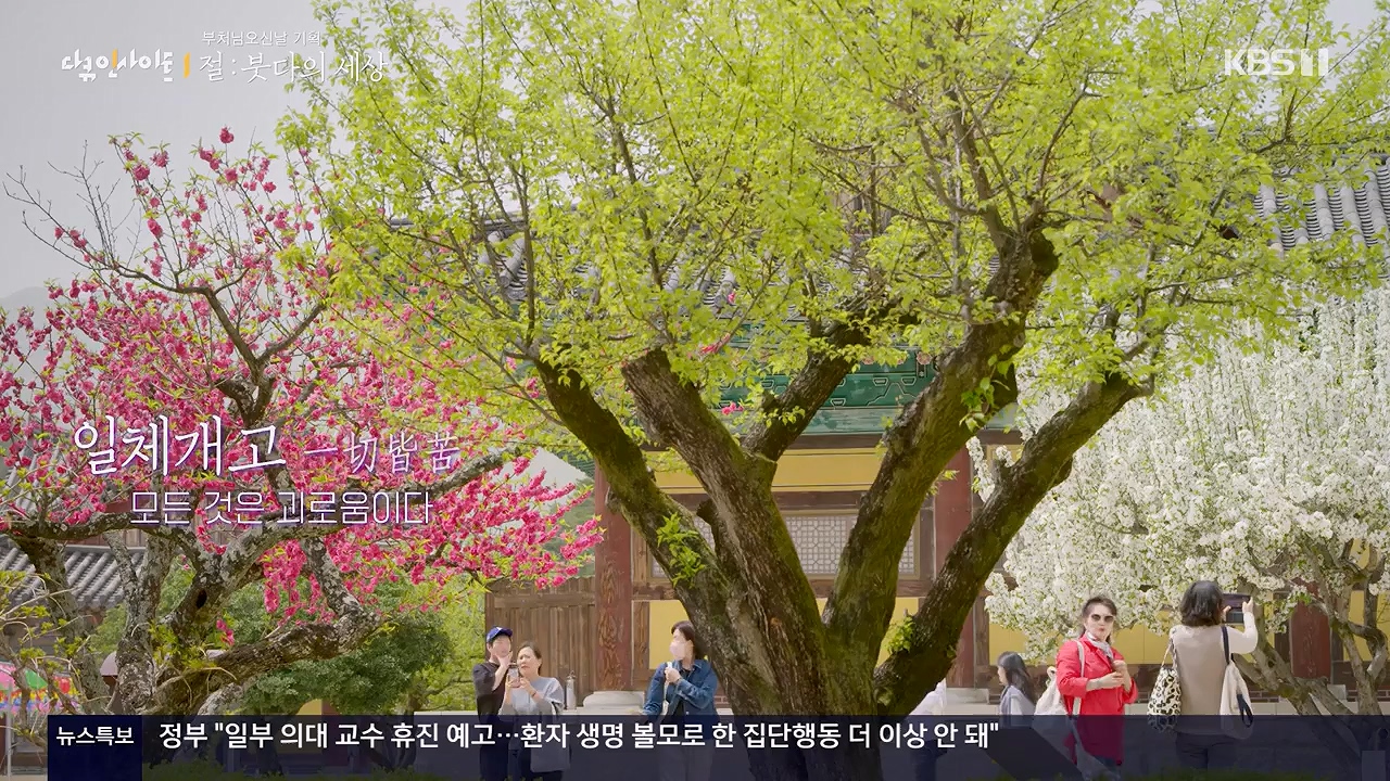 다큐 인사이트.E185.240517p-NEXT.mp4_20240517_202642.583.jpg