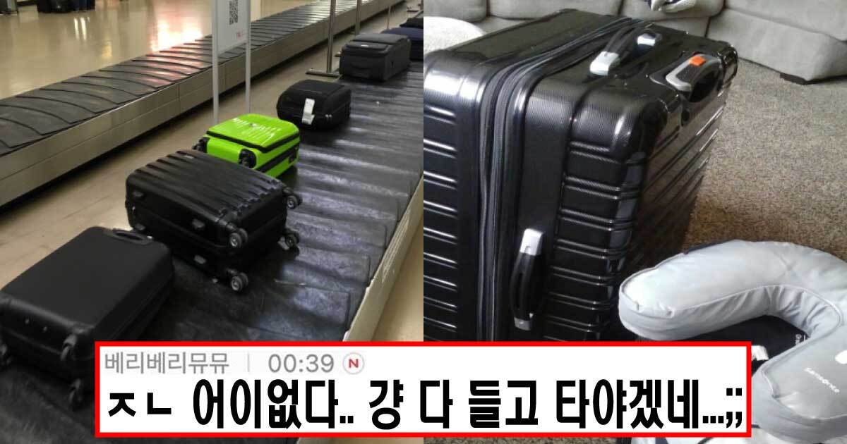  캐리어에 비싼거 넣어두면 위험한 이유