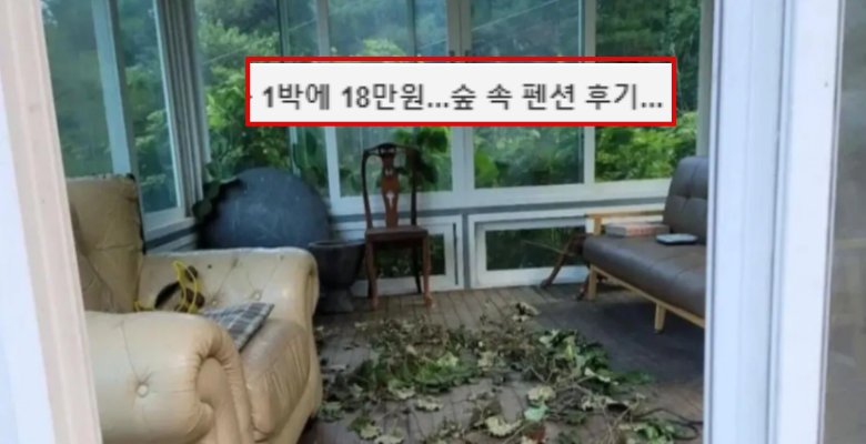  적반하장으로 나오는 충격의 펜션사장 인성;
