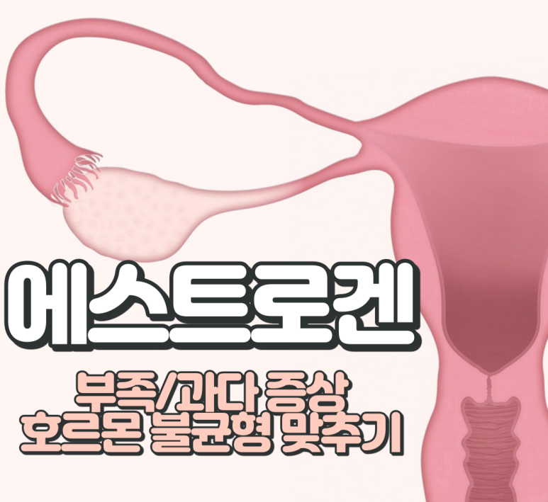  에스트로겐 수치 : 부족, 과다 호르몬 불균형 바로잡기