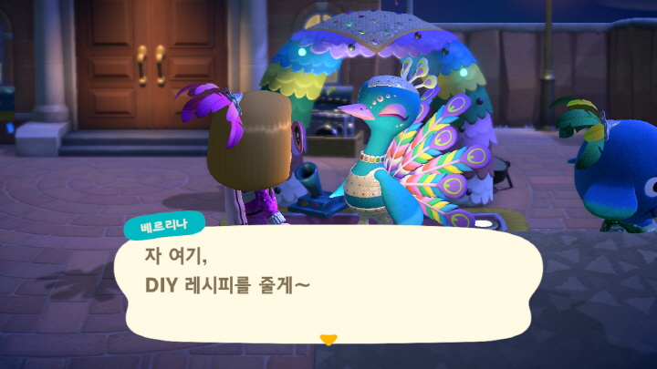 무지개 깃털에 대해-2