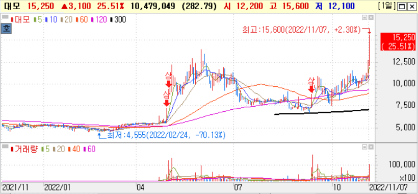 11월-7일-대모-주가-차트